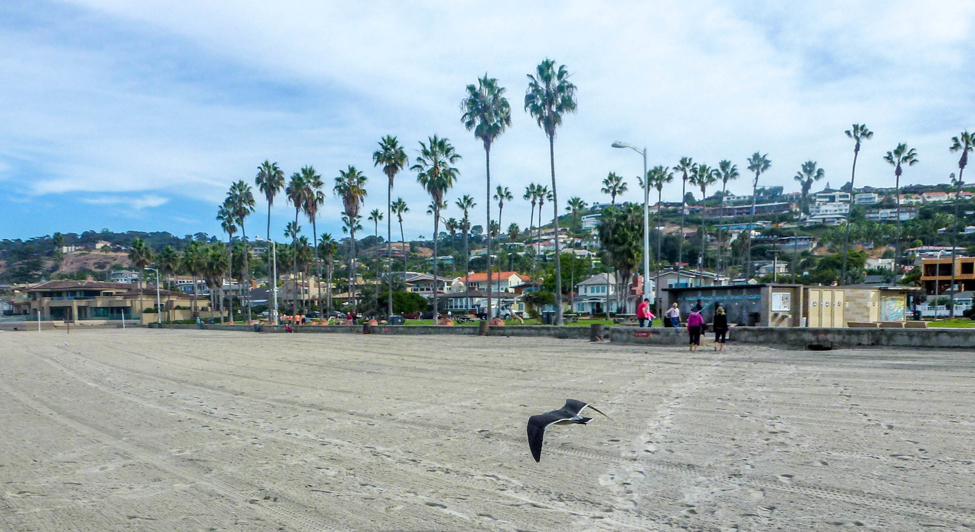 קליפורניה חלק א: סן דייגו- La Jolla beach 