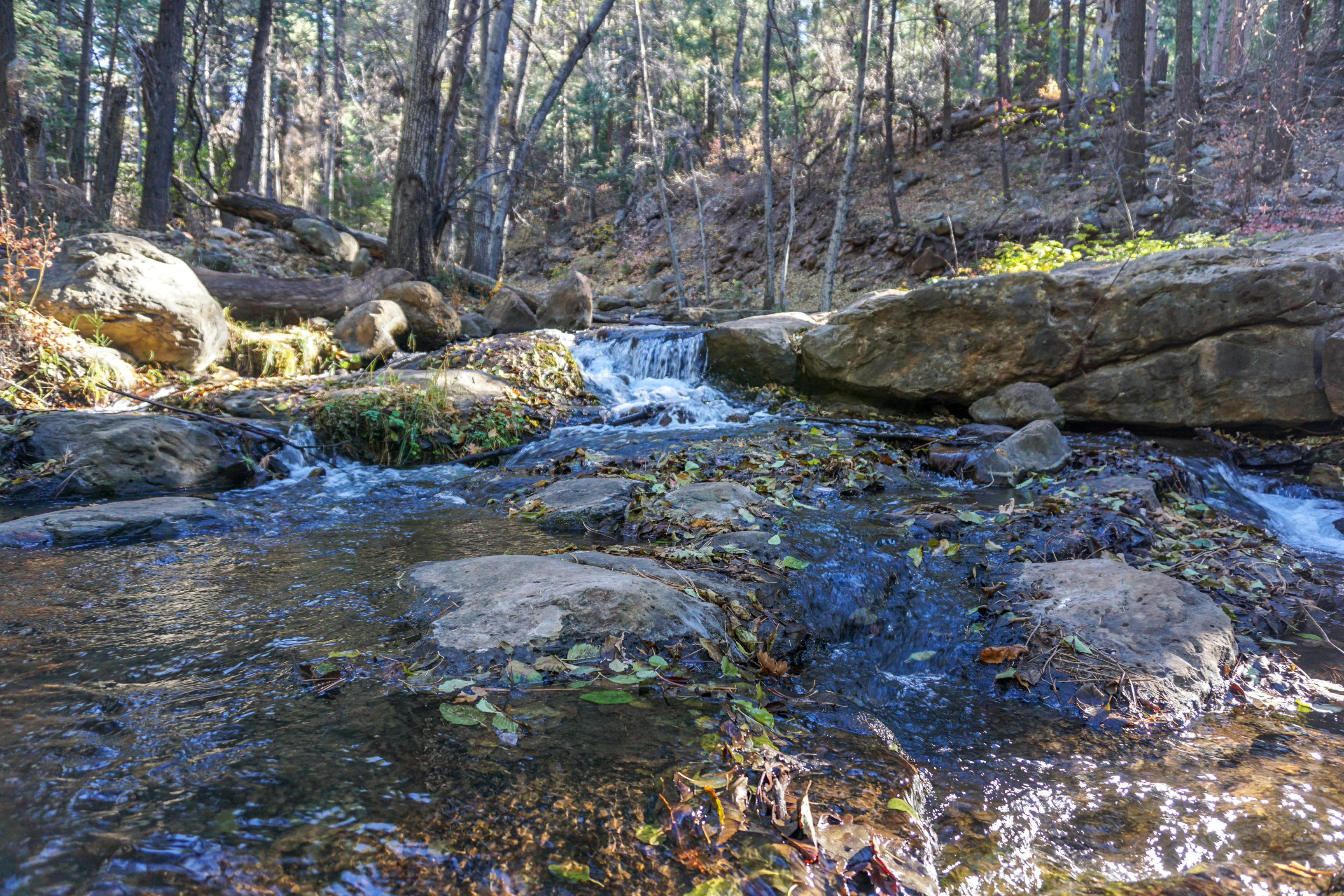 Say Goodbye to AZ- Horton Creek