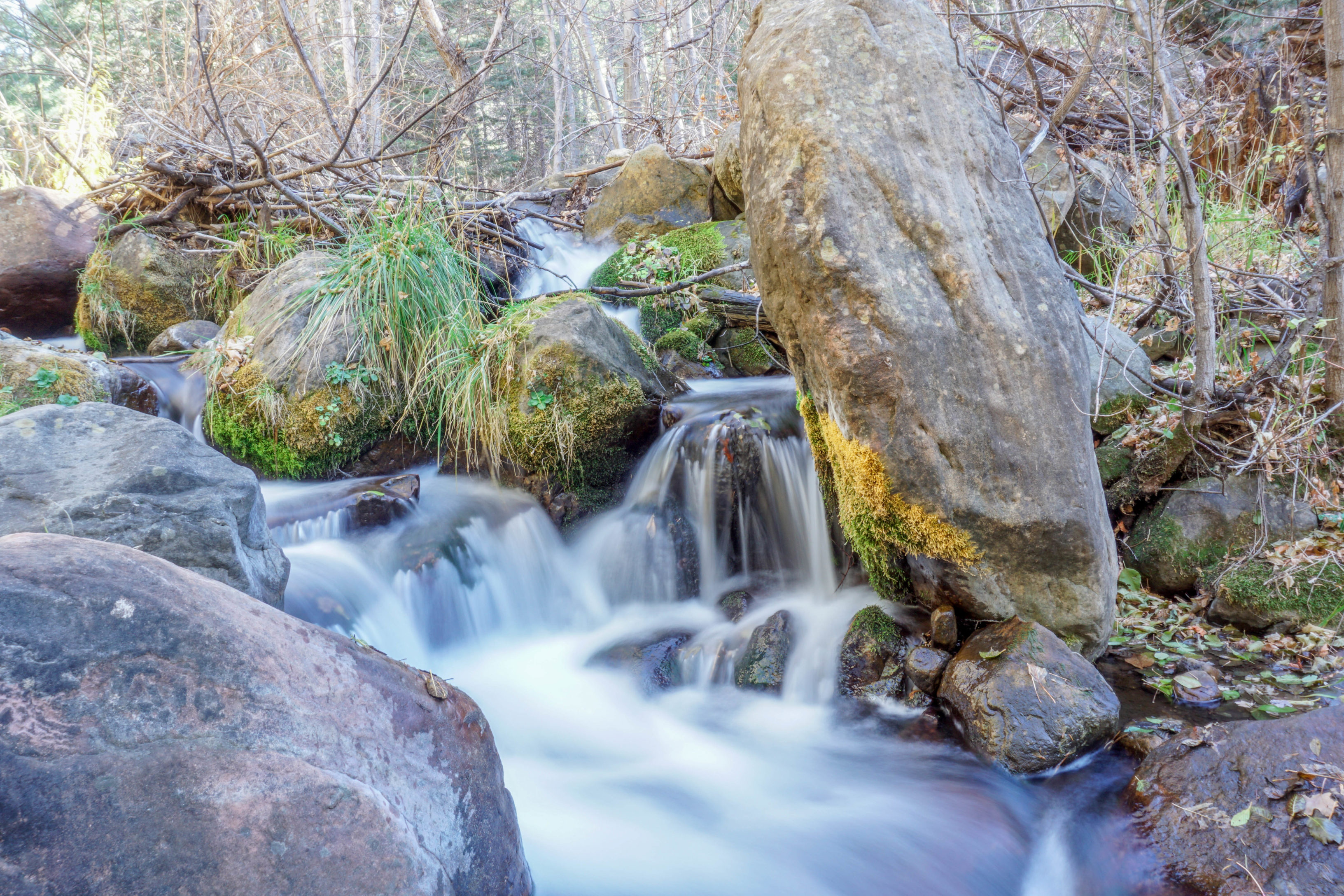 Say Goodbye to AZ- Horton Creek