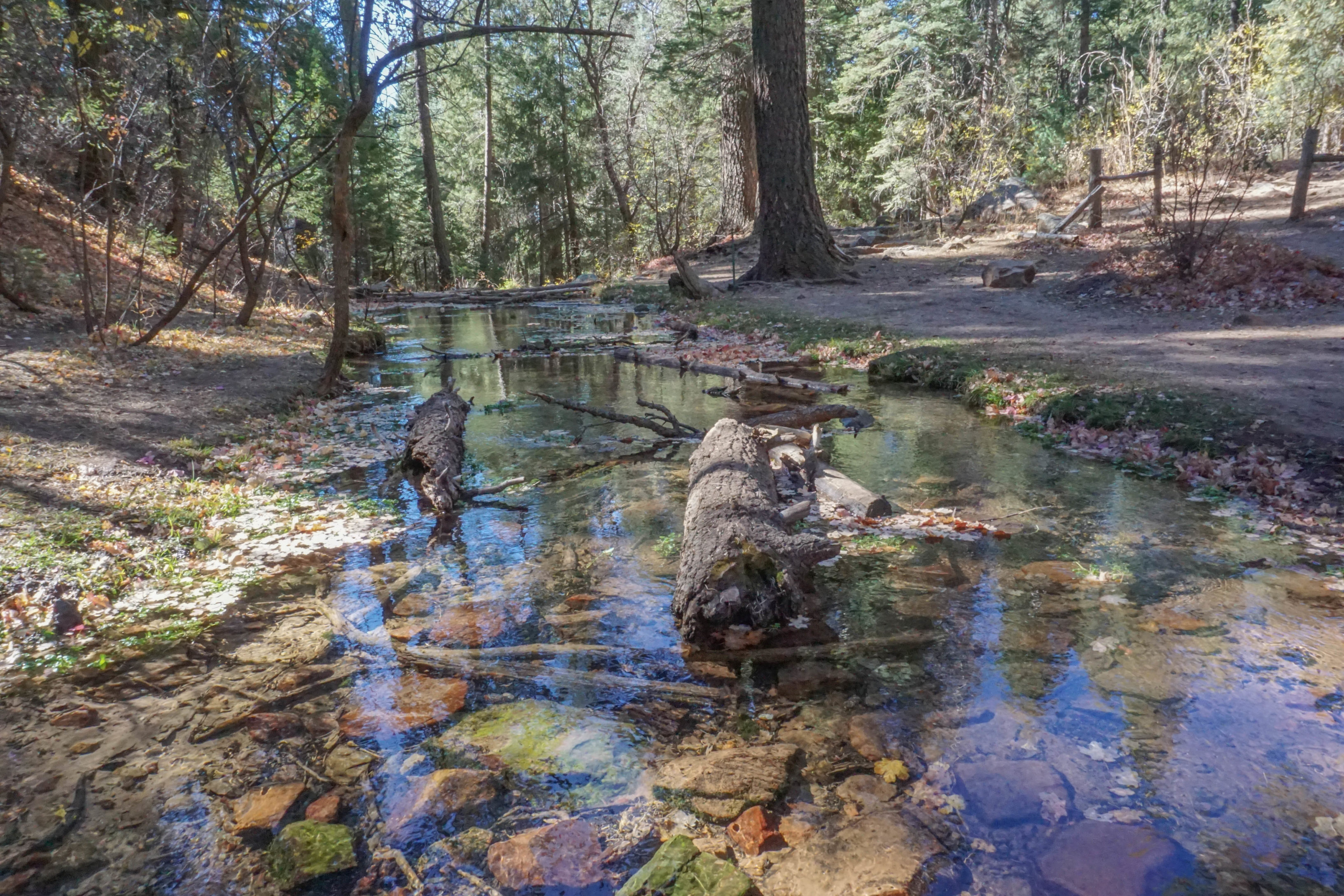 Say Goodbye to AZ- Horton Creek