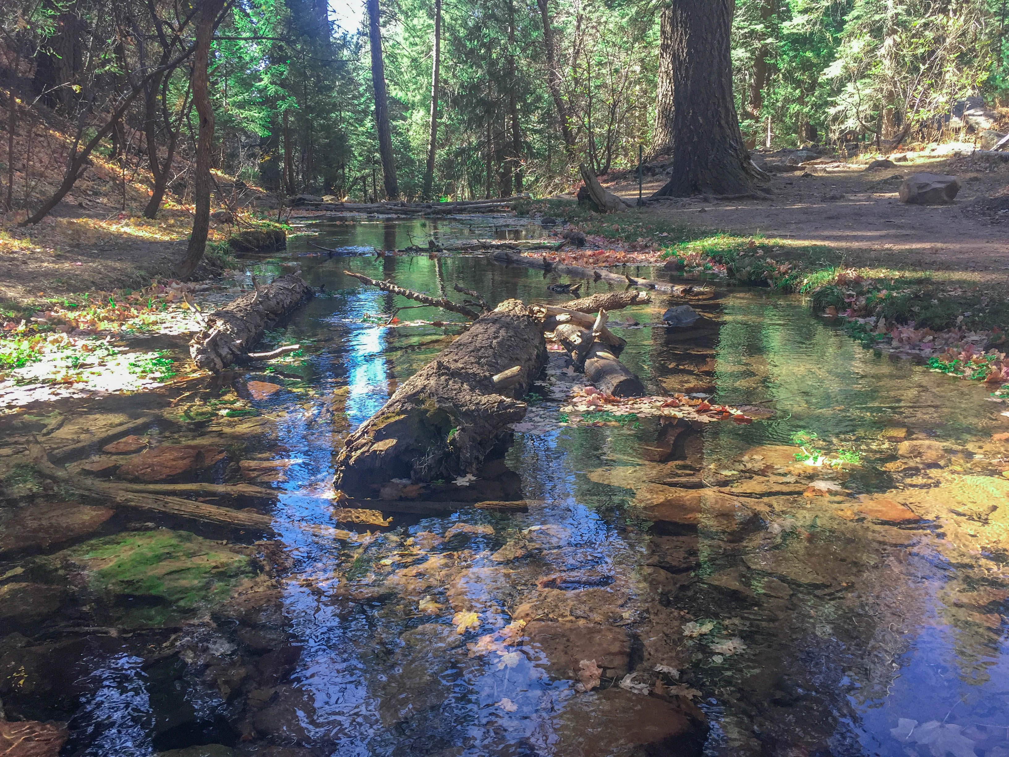  Horton Creek: נפרדים מאריזונה