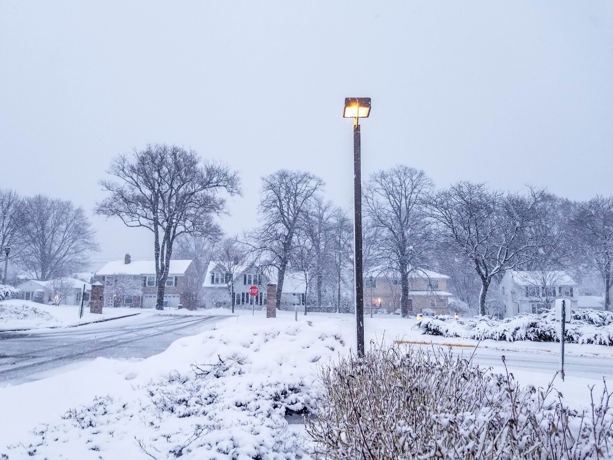 Winter in Milwaukee- Stew recipe