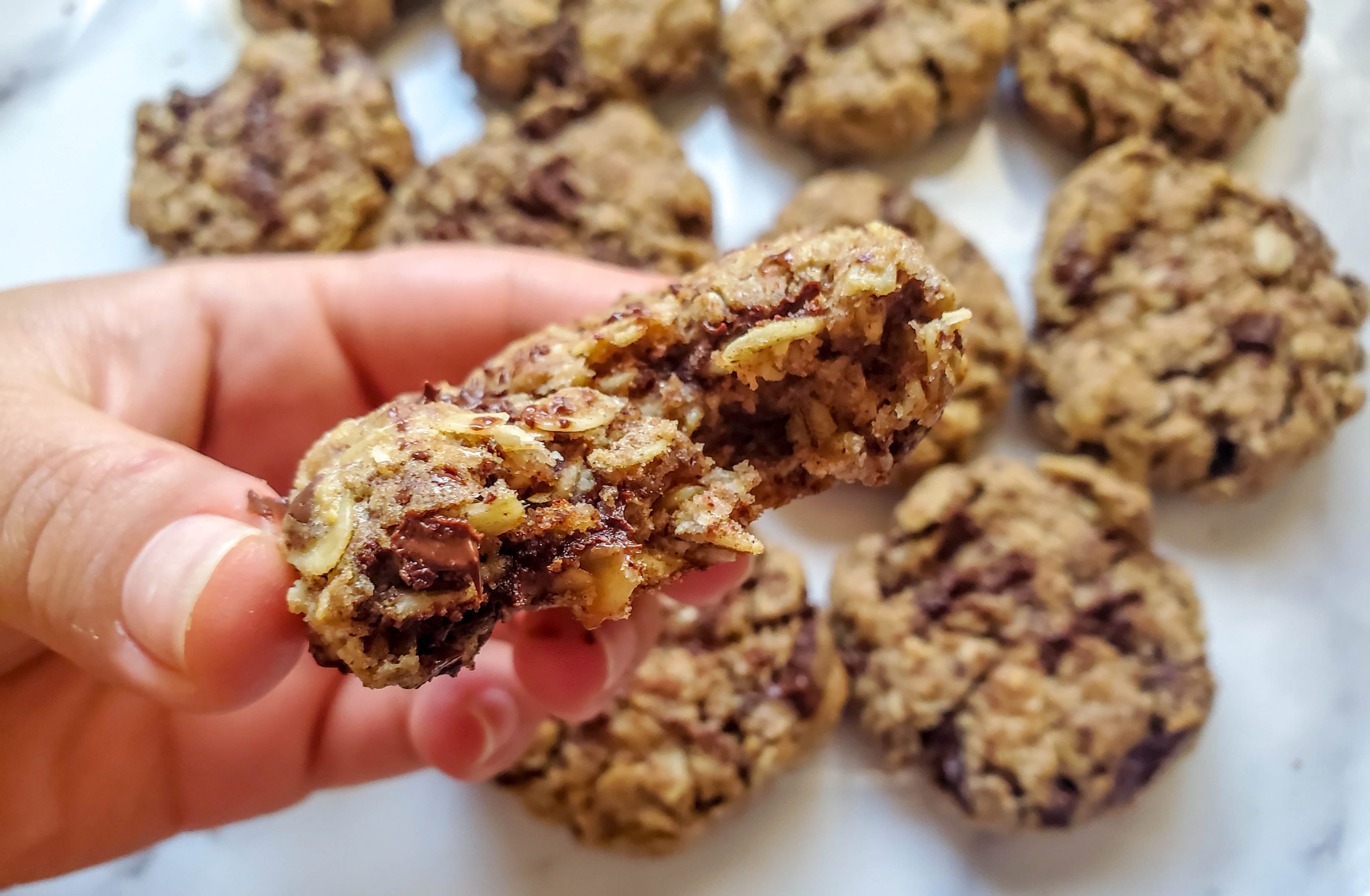 Chewy Oatmeal & Chocolate Cookies Recipe