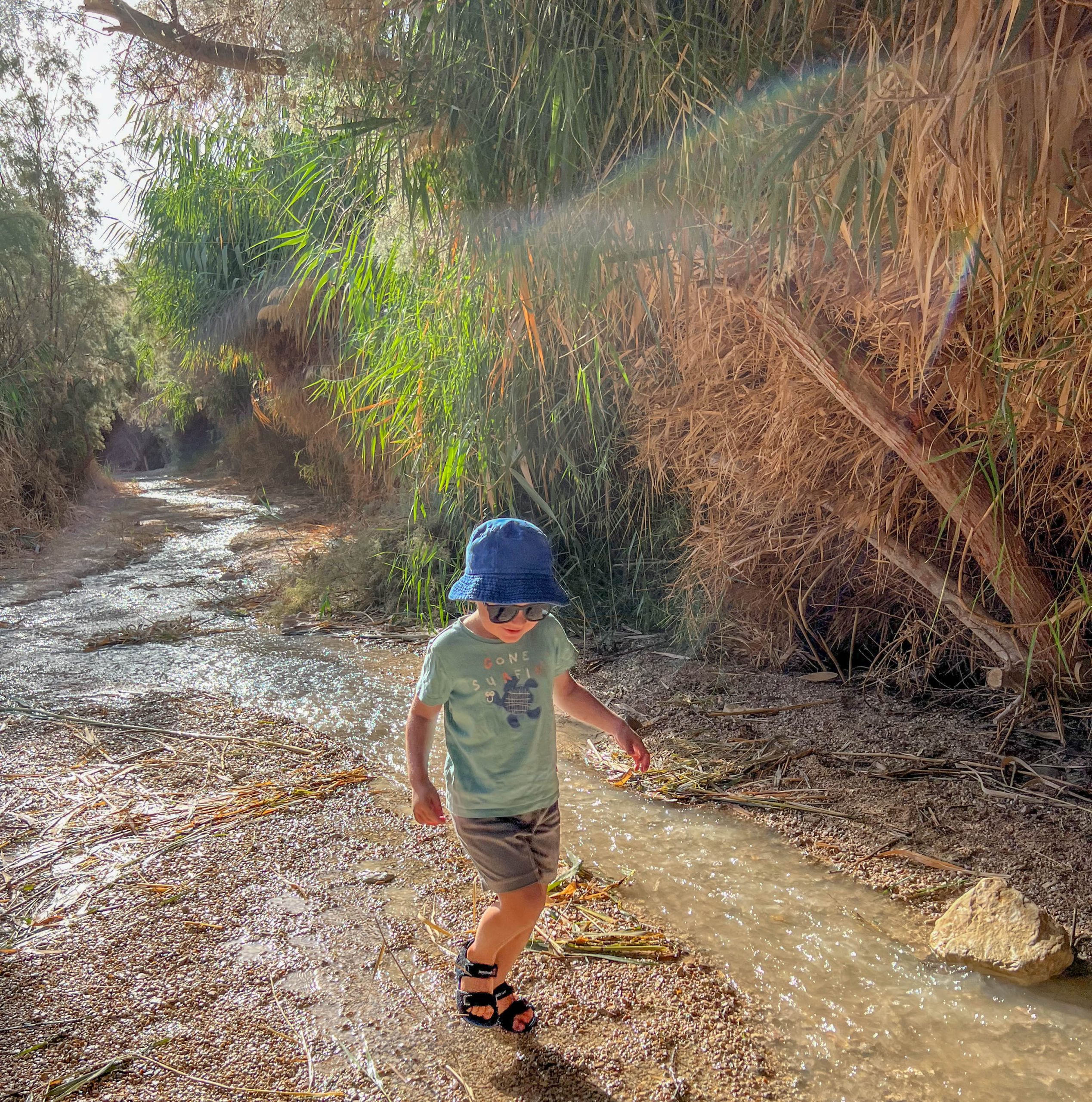 עין בוקק- מסלול הליכה במים לילדים שמתאים גם לימים החמים